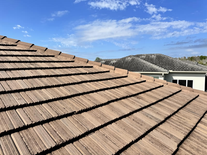 Roof cleaning after