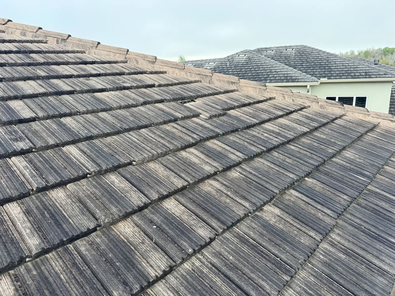 Roof cleaning before