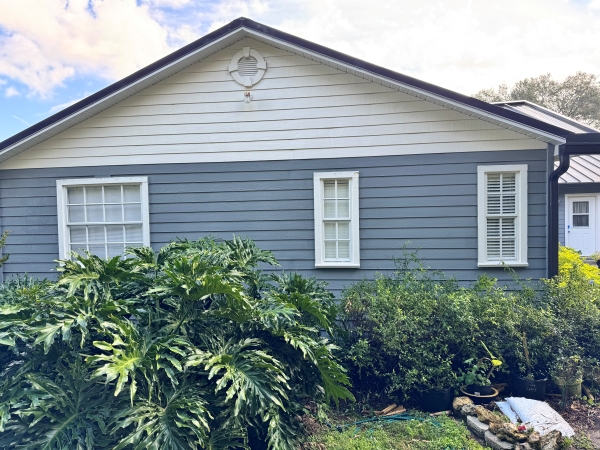 Land O' Lakes soft washing services