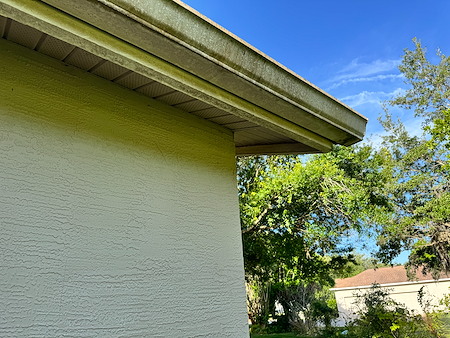 Wesley chapel roof cleaning