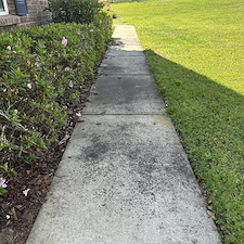 House Washing, Concrete Cleaning, and Fence Cleaning in Dade City 2
