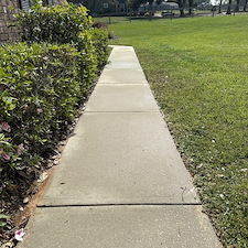 House Washing, Concrete Cleaning, and Fence Cleaning in Dade City 3