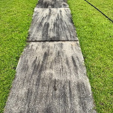 Top-Quality-Sidewalk-Cleaning-in-Lutz-FL-by-The-Pasco-Pressure-Washing-Trusted-Wesley-Chapel-Pressure-Washing-Experts 0