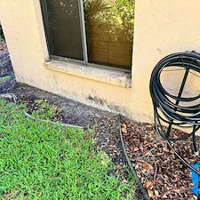 Top-Rated-House-Washing-in-Tampa-FL-by-The-Pasco-Pressure-Washing-Wesley-Chapels-Trusted-Exterior-Cleaning-Experts 1