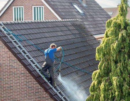 Roof Cleaning - Land O' Lakes