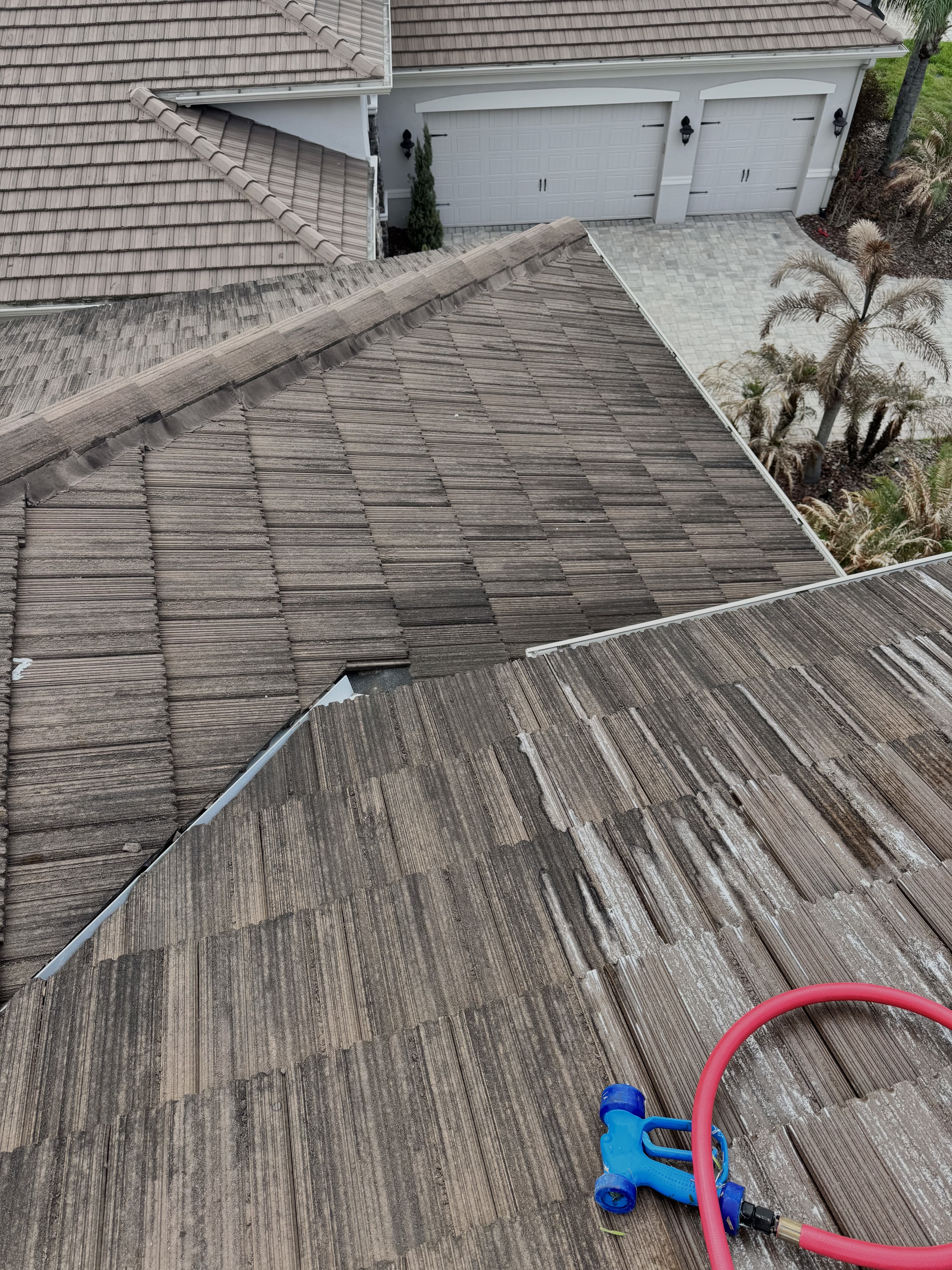 Roof soft wash