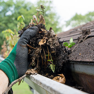Wesley chapel gutter clean out