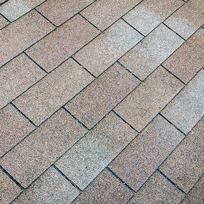 Wesley chapel roof washingjpg